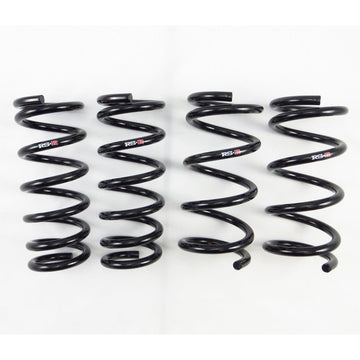 RS-R Down Sus Lowering Springs - 2009+ Nissan 370Z N134D