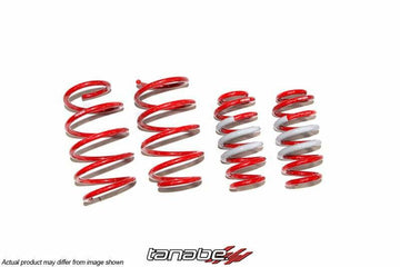 Tanabe NF210 Lowering Springs - 2015-2016 Lexus NX200t F-Sport AWD